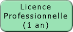 Licence Pro