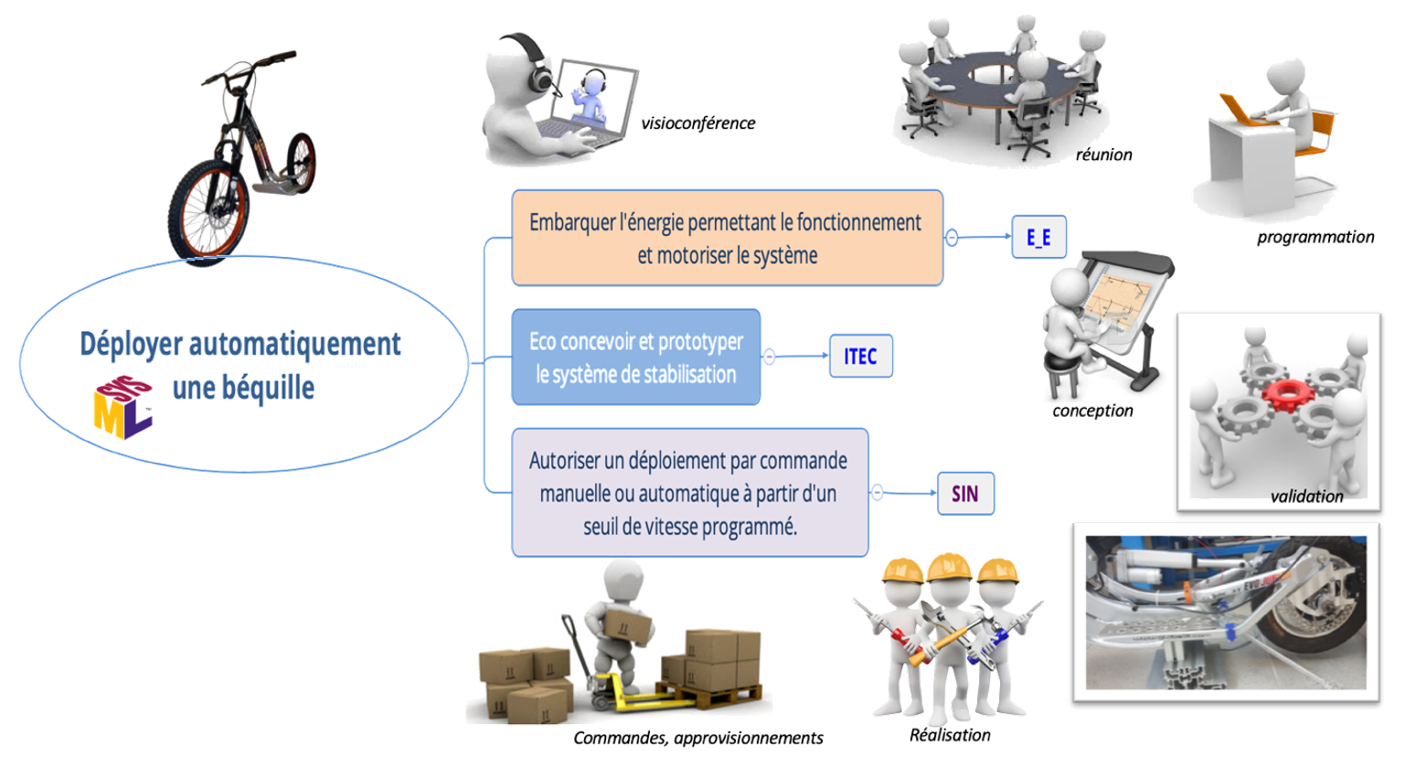 Organisation fonctionnelle 