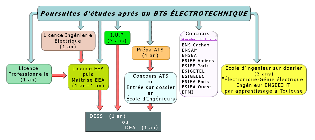Schéma des poursuites d'études